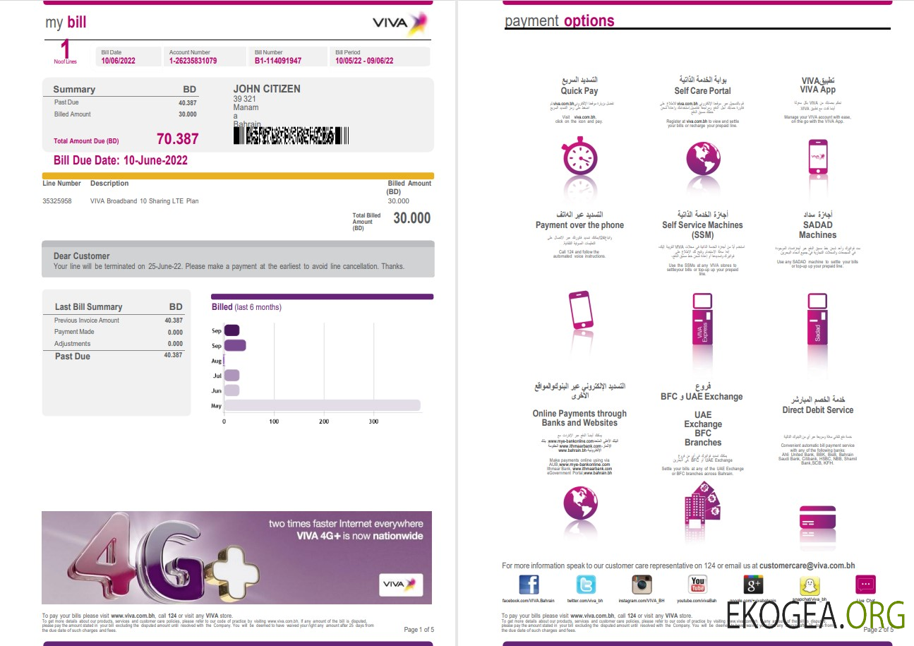Bahrain Viva my utility bill Word and PDF template, 5 pages 1 2